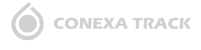 Logo Conexa